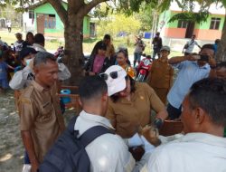 Cegah Rabies Kadistan Malaka Lakukan Vaksin HPR di Desa Fafoe dan Sikun