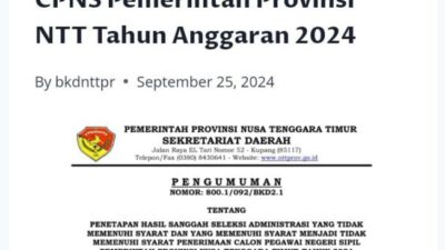 WhatsApp Image 2024 09 26 at 06.21.04