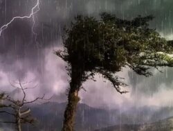 Waspada! Hujan Lebat Disertai Petir dan Angin Kencang Berpotensi Terjadi di Beberapa Wilayah NTT