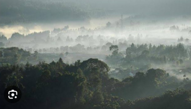 Screenshot 20241228 162609 Chrome