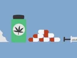 Bareskrim Polri Ungkap Pencapaian Terbaru dalam Pemberantasan Narkoba di Indonesia