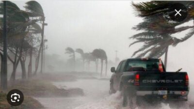 WhatsApp Image 2024 12 13 at 23.58.14