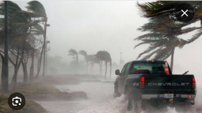 WhatsApp Image 2024 12 13 at 23.58.14