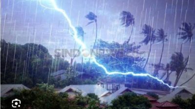 WhatsApp Image 2024 12 23 at 01.23.47