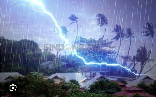 WhatsApp Image 2024 12 23 at 01.23.47