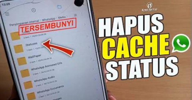 WhatsApp Image 2024 12 23 at 02.12.54