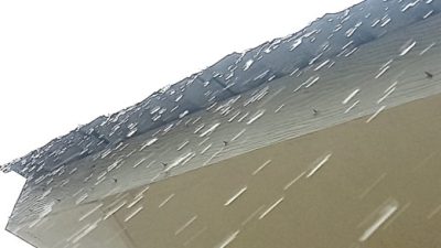 IMG 20250126 WA0096