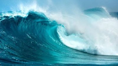 Screenshot 20250111 223642 Chrome