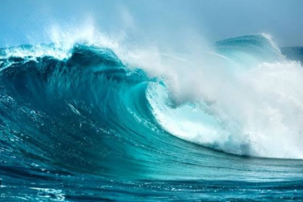 Screenshot 20250111 223642 Chrome