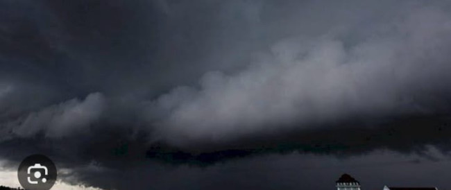 WhatsApp Image 2025 01 04 at 17.50.16