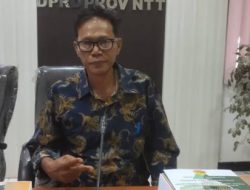 Stef Come Rihi Dorong Pemanfaatan Potensi Pertanian Lokal untuk Ketahanan Pangan NTT