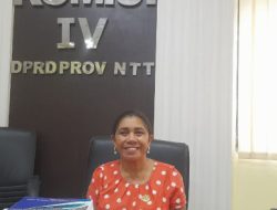 Respon Cepat DPRD NTT, Ana Waha Kolin Terkait Pemblokiran Jalan oleh Warga Lewopao