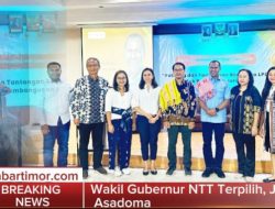 NTT Punya Peluang Besar! Ini Jalur Afirmasi Beasiswa LPDP yang Bisa Diikuti