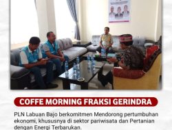 PLN & Fraksi Gerindra Bahas Tantangan dan Solusi Kelistrikan di Manggarai Barat