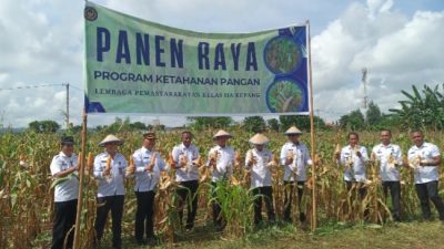 Screenshot 20250312 144514 Gallery