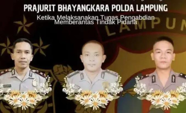 WhatsApp Image 2025 03 18 at 21.13.23