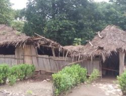 Tiga Kelas di SDN Gentari TTU Ambruk Diterjang Hujan, Proses Belajar Terganggu