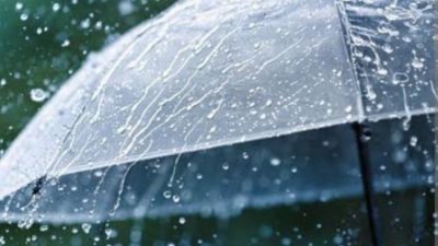 Screenshot 20250409 121952 Chrome