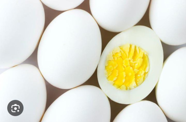 WhatsApp Image 2025 04 07 at 22.43.43