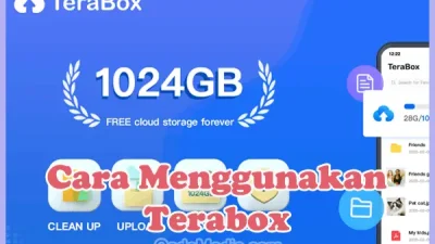 penggunaan terabox