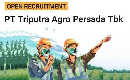 2025 10 06 pt triputra agro persada buka lowongan mt 2025 fresh graduate wajib daftar