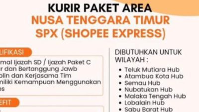 WhatsApp Image 2026 02 21 at 03.56.52 e1771678239155