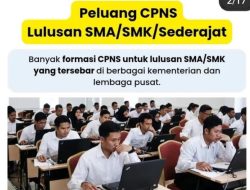 Peluang 43 Formasi CPNS untuk Lulusan SMA/SMK, Cek Daftar Instansi