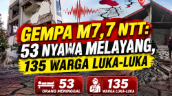 Gempa M7,7: Korban Meninggal Bertambah Jadi 53 Orang, 135 Luka dan 731 Gempa Susulan