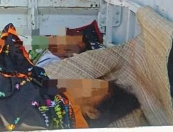Gempa 7,7! Pagi Itu Bapa dan Mama Tak Lagi Bisa Dibangunkan