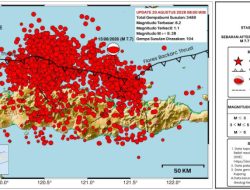 Flores Kembali Diguncang Gempa, 3.489 Susulan Tercatat oleh BMKG hingga 20 Agustus
