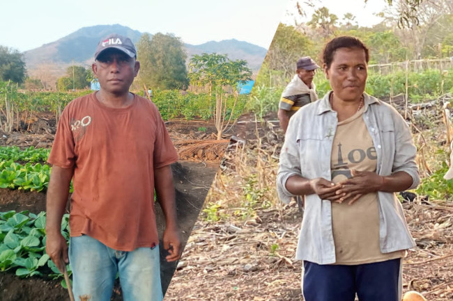 Gius Berkisah, Mariana Menangis: Lahan Kering di Solor Jadi Sumber Penghidupan 1 IMG 20260829 WA0214