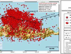 Gempa Susulan Flores M 7,7 Capai 9.870 Kejadian, BMKG Catat 156 Kali Dirasakan