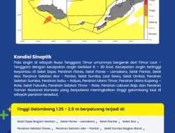 Gelombang Laut NTT Berpotensi Capai 3 Meter, BMKG Imbau Warga Pesisir dan Nelayan Waspada