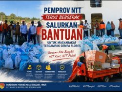 Pemprov NTT Salurkan Bantuan Logistik untuk Warga Terdampak Gempa Flores