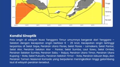 IMG 20260907 WA0007