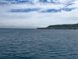 3 Hari ke Depan Laut NTT Bergolak: BMKG Catat Angin 27 Knot, Gelombang 3 Meter Hantam Selatan Sumba