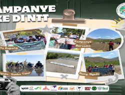 Dari Flores Hingga Sumba, WALHI NTT Peringati Hari Keadilan Ekologis dengan Aksi Serentak di Tiga Pulau Besar