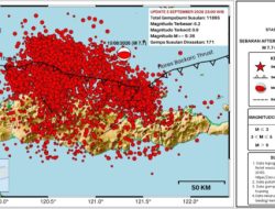 11.895 Kali Gempa Susulan M7,7 Guncang Flores, BMKG: Perkiraan Berlangsung 3-4 Minggu