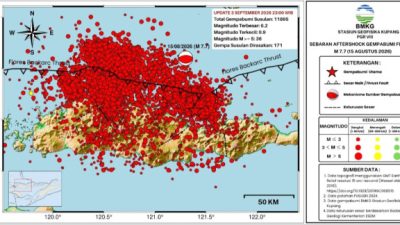 11.895 Kali Gempa Susulan M7,7 Guncang Flores, BMKG: Perkiraan Berlangsung 3-4 Minggu 8 IMG 20260904 030834