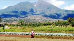 FLORES DAN NUSA TENGGARA: Tanah yang Ditempa Api, Diuji Kekeringan, Namun Tak Pernah Berhenti Memberi Kehidupan