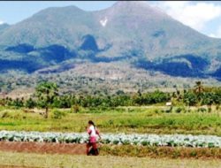Flores dan Nusa Tenggara: Tanah yang Ditempa Api, Diuji Kekeringan, Namun Tak Pernah Berhenti Memberi Kehidupan