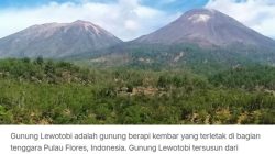 Flores, Ketika Bumi Menangis: Diantara Puing, Abu Lewotobi, dan Doa Yang Tak Pernah Selesai